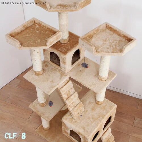 �L���b�g�����h�@CLF-8�@�u���E��_4