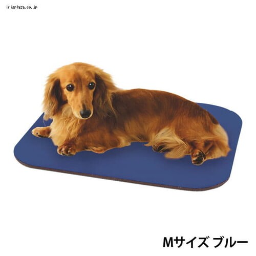 ���������W���C���g�}�b�g�@AJM-L�@�u���[_3