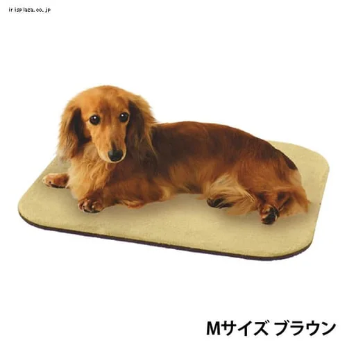 ���������W���C���g�}�b�g�@AJM-L�@�u���[_4