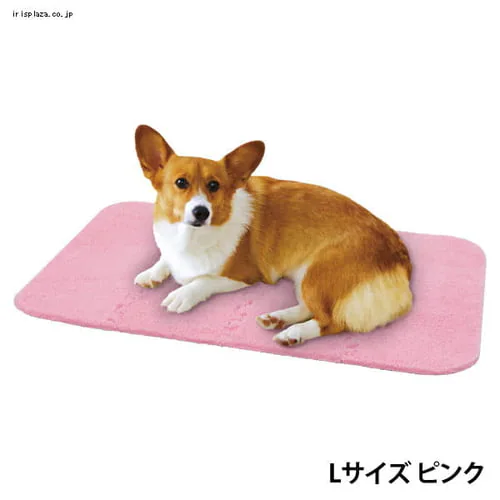 ���������W���C���g�}�b�g�@AJM-L�@�u���[_5