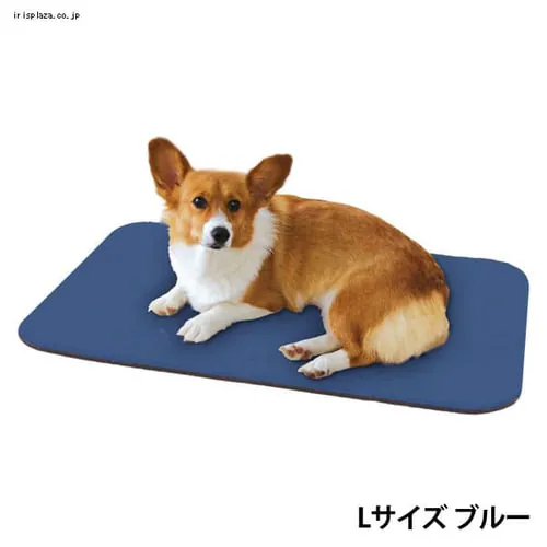 ���������W���C���g�}�b�g�@AJM-L�@�u���[_6