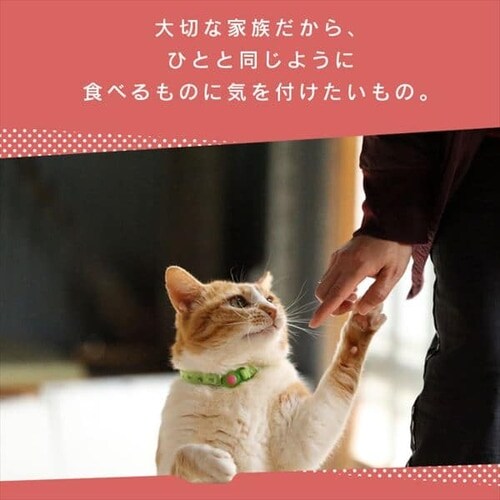 �˂��p�i�s���[�� �܂���24�{ P-NNM24_3