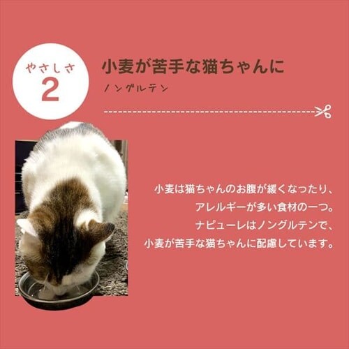 �˂��p�i�s���[�� �܂���24�{ P-NNM24_8