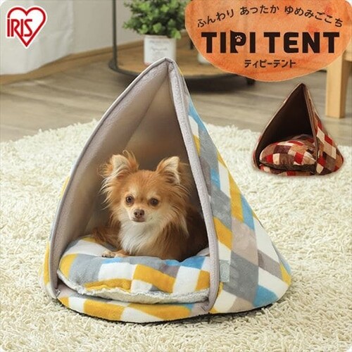 �e�B�s�[�e���g PTTL-480 �S2�F_2