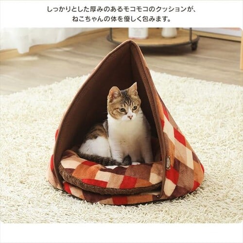 �e�B�s�[�e���g PTTL-480 �S2�F_7