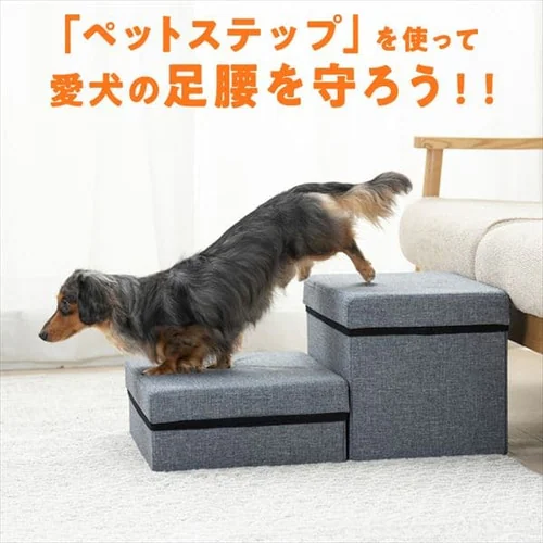 �y�b�g�X�e�b�v P�|STM �O���[_3