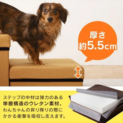 �y�b�g�X�e�b�v P�|STM �O���[_6