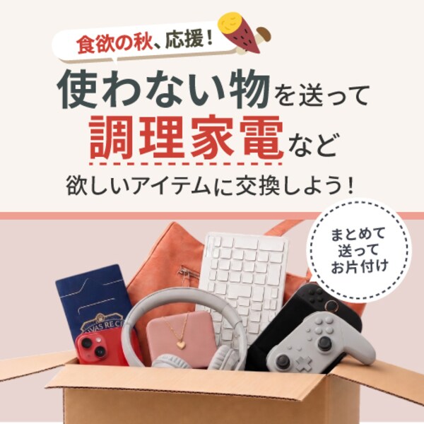 ふとん乾燥機 カラリエ シングルノズル FK-EC2-W ホワイト 208494 