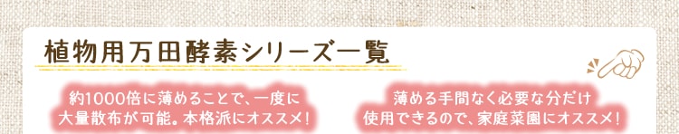 ���c�y�f�V���[�Y