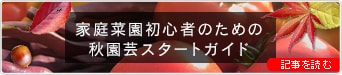 【ドットコム記事】家庭菜園初心者のための秋園芸スタートガイド