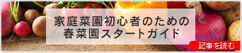 【ドットコム記事】家庭菜園初心者のための春菜園スタートガイド