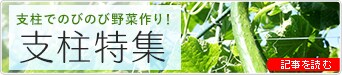 【ドットコム記事支柱特集