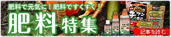 【ドットコム記事】肥料で元気に!肥料ですくすく!肥料特集 | 季節のおすすめ特集