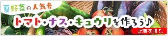 【ドットコム記事】夏野菜の人気者トマト・ナス・キュウリを作ろう♪