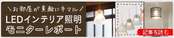 ���������f�G�ɃL�}�� LED�C���e���A�Ɩ����j�^�[���|�[�g