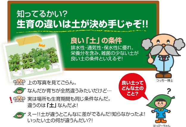 �m���Ă邩���H����̈Ⴂ�͓y�����ߎ肶�Ⴜ�I�I