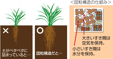 <�c���\���̎d�g��>