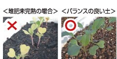 <�͔얢���n�̏ꍇ><�o�����X�̗ǂ��y>