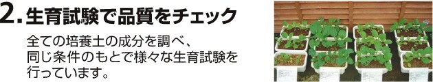 2. ���玎���ŕi�����`�F�b�N