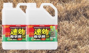 ����������4L 2�{�Z�b�g