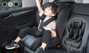 �s�W���� ������� 240ml�iBear�j