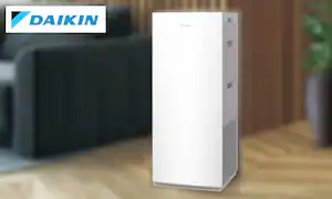 �_�C�L�� 31�� �����@�\�t