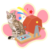 �ɂ��_�t�� ���I��