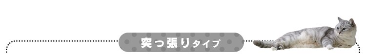 ≪置き型≫キャットタワー ビッグ QQ80038 ホワイト5