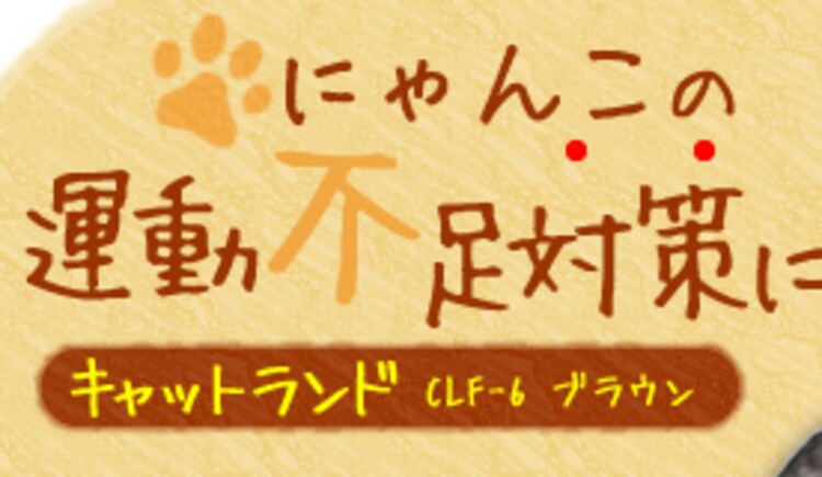 にゃんこの運動不足対策に!キャットランドCLF-6