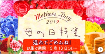 母の日特集