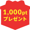 1,000pt