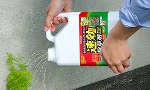 ������