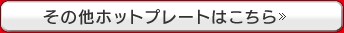 ���̑��z�b�g�v���[�g�͂�����