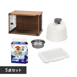 yX^[^[ZbgC^Cvzy^zCeAEbfBT[N PIWS-960 _[NuE 