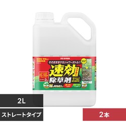 y2{Zbgz2L WSJ-2L 