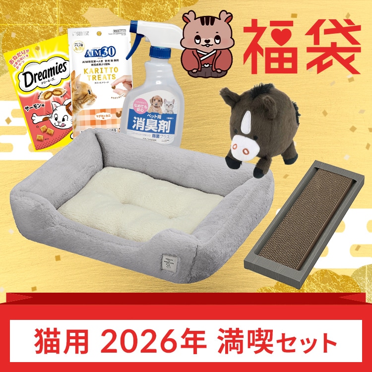 �L�p���������i�Z�b�g