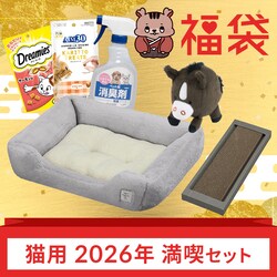 �L�p���������i�Z�b�g