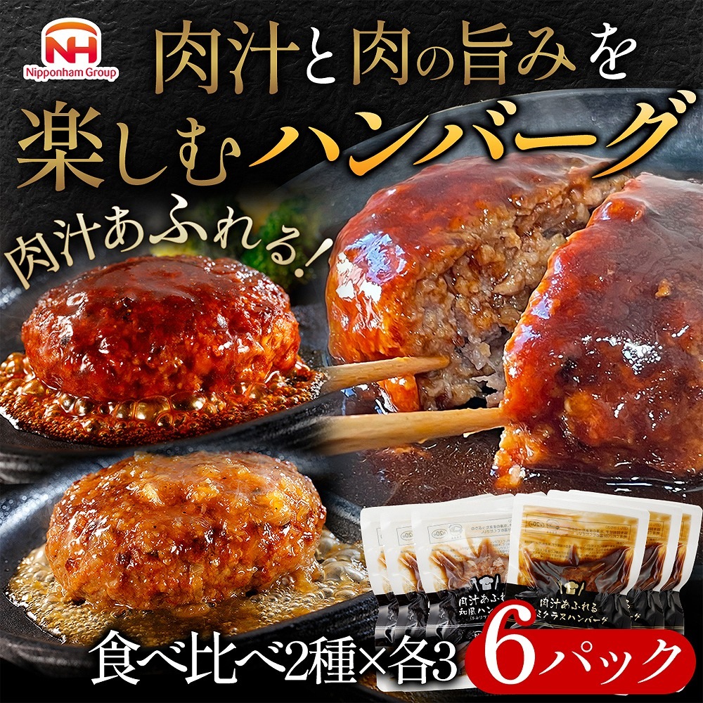 肉汁あふれるハンバーグ2種×3 160g×6パック【冷凍】