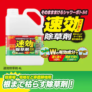 ������4L