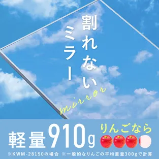 ����Ȃ��~���[ �y��910g ��񂲂Ȃ�