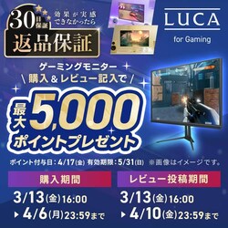 �Q�[�~���O���j�^�[���r���[�L�����y�[��