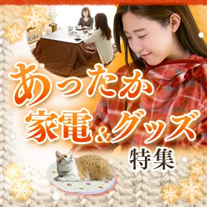 ���������Ɠd���O�b�Y���W