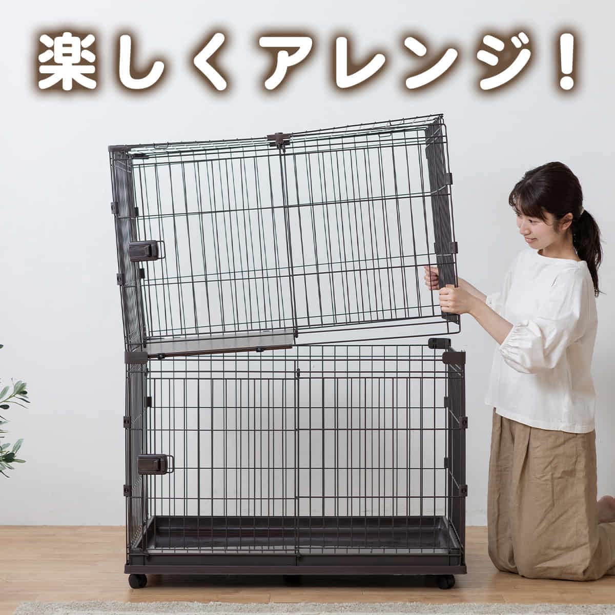 �R���r�l�[�V�����T�[�N��