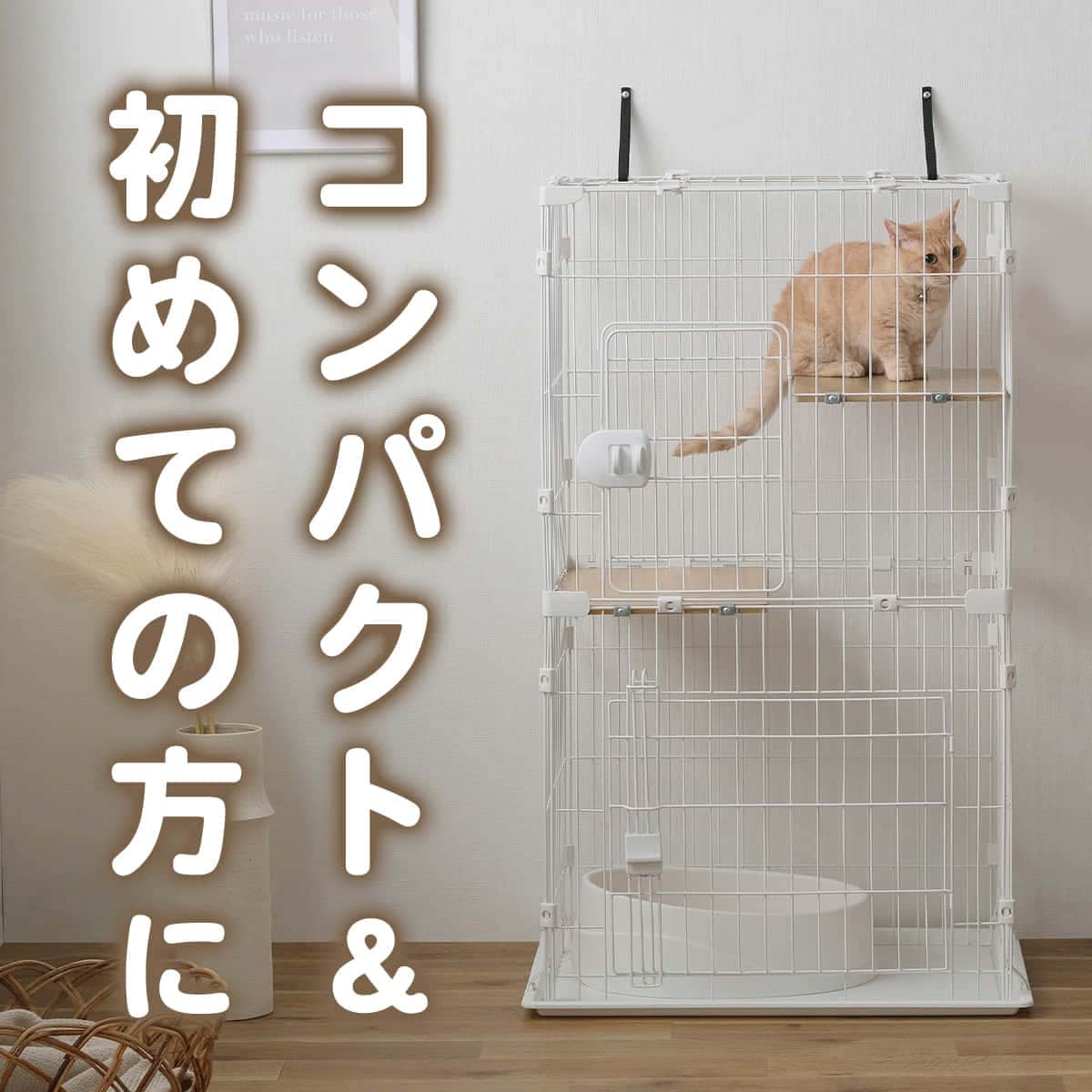 �R���p�N�g�L���b�g�P�[�W