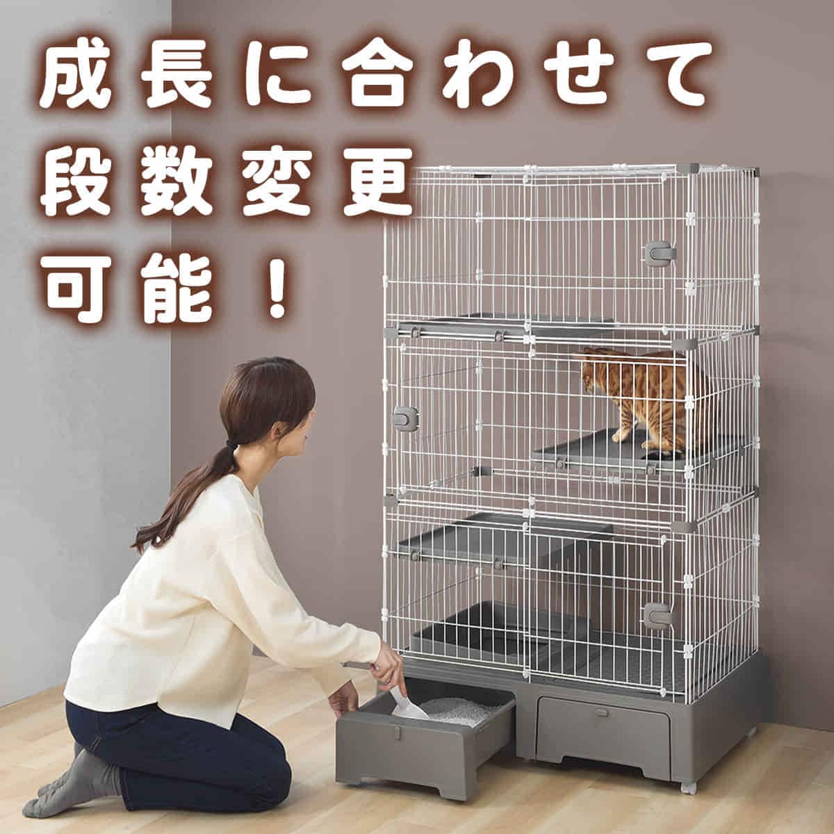 �L���b�g�P�[�W