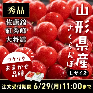 �R�`���Y��������