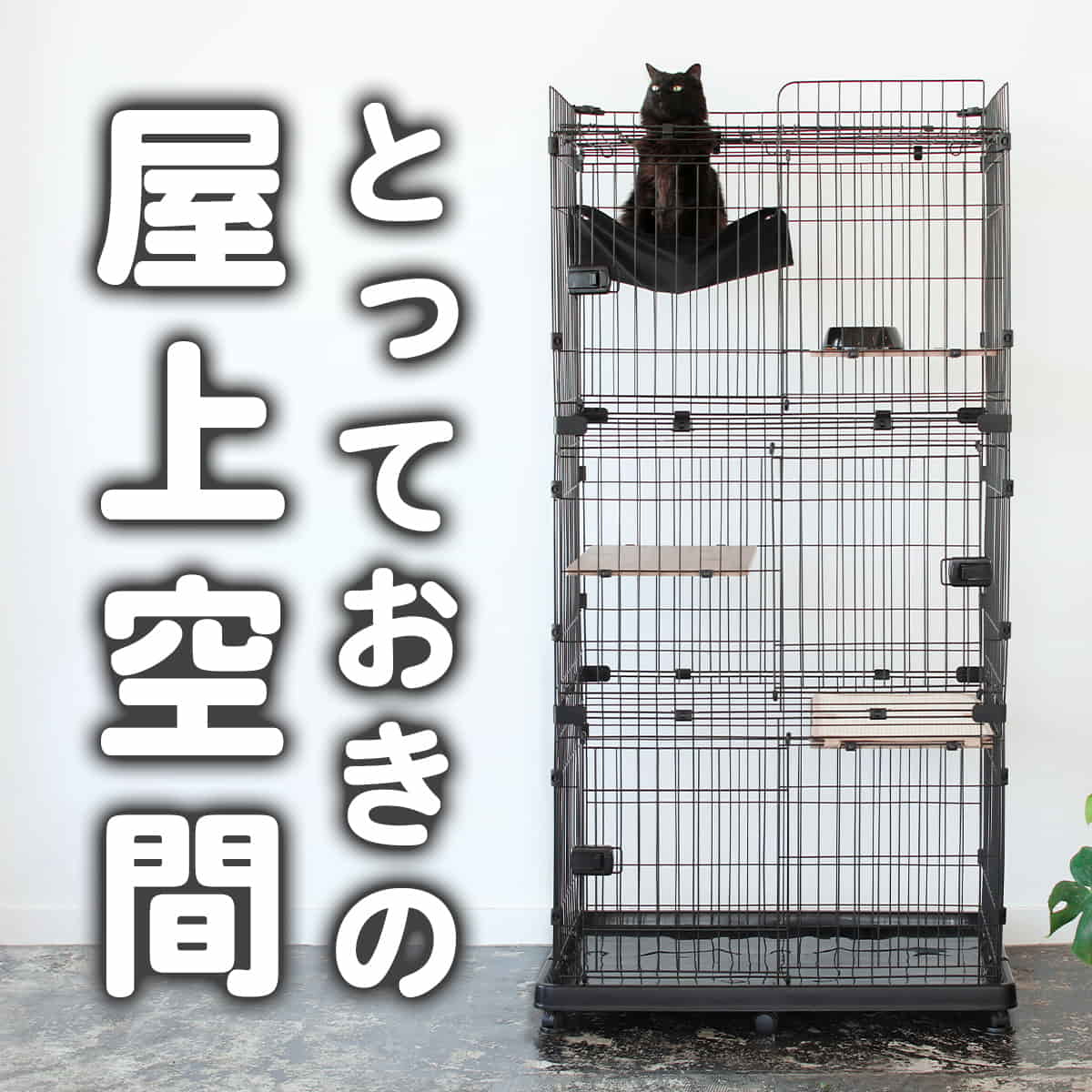 ���[�t�L���b�g�P�[�W