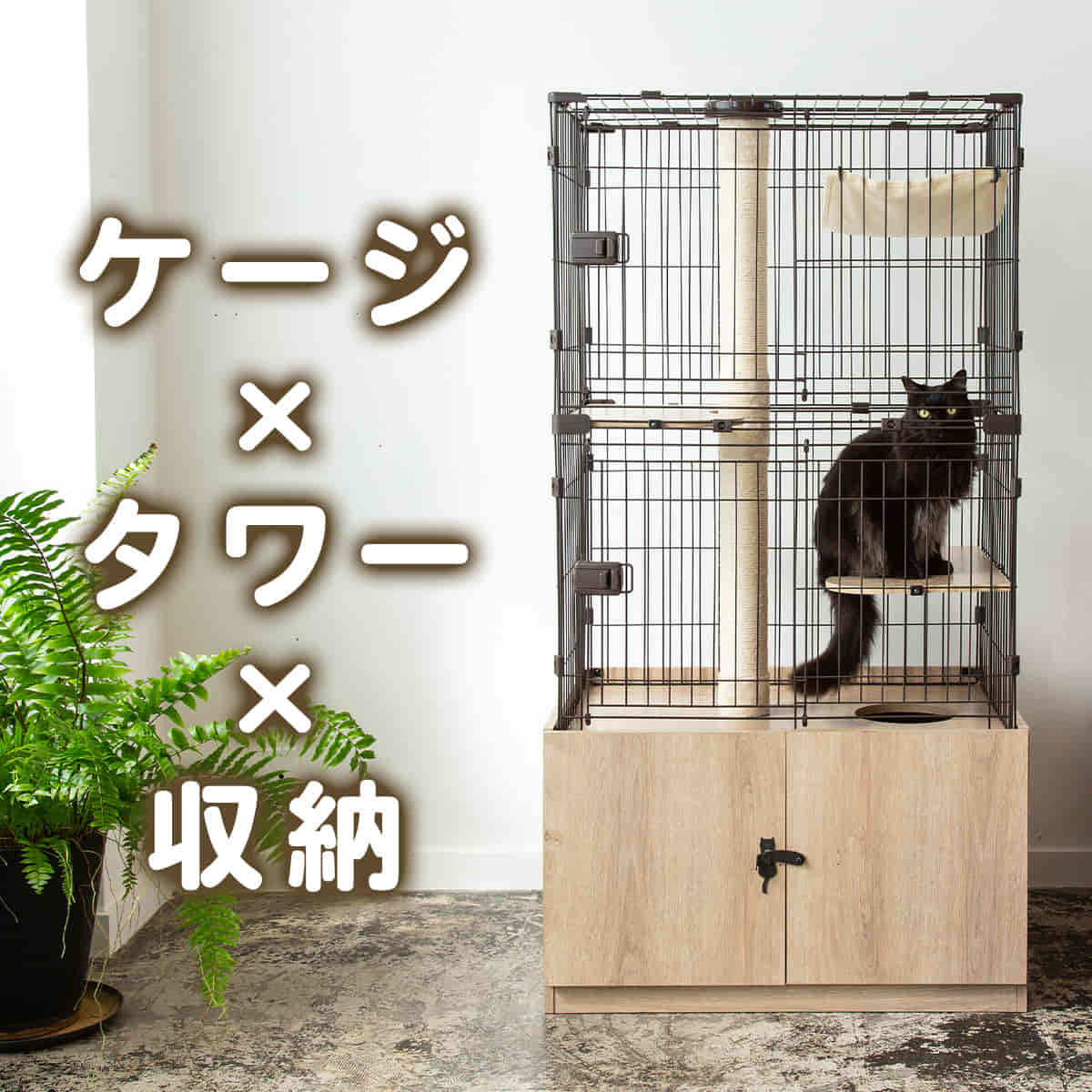 �L���b�g�����h�P�[�W