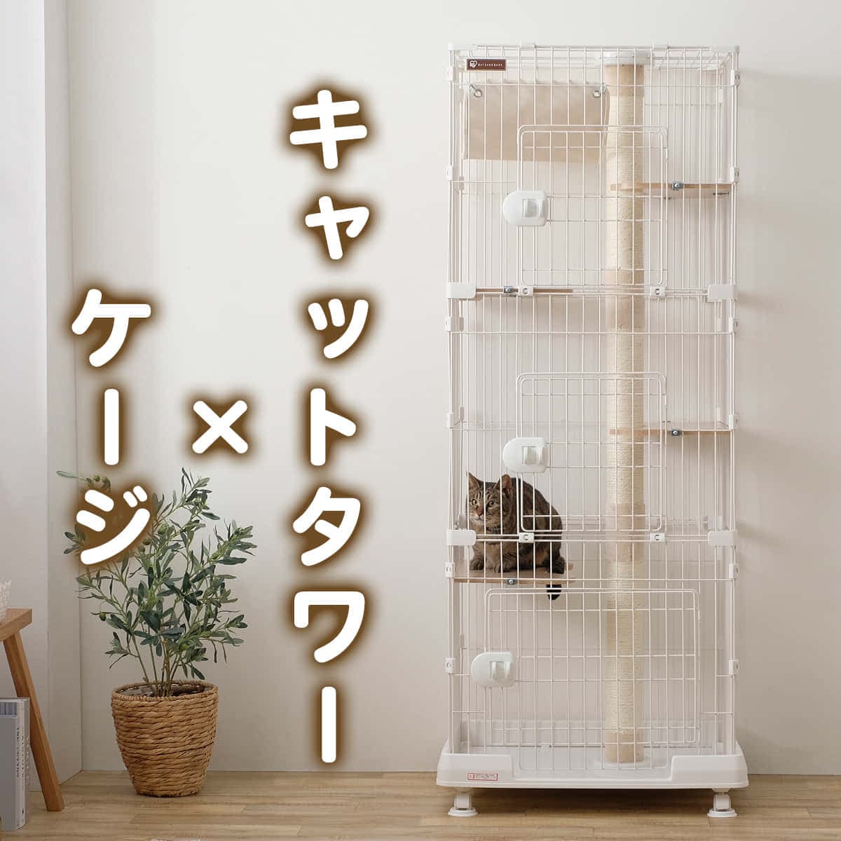 �B��ƃL���b�g�����h�P�[�W