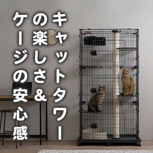 �L���b�g�����h�P�[�W